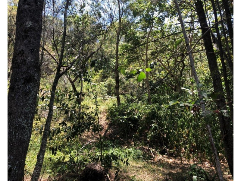 53 Mountain View Drive, Mount Coolum QLD 4573