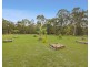 14 Riverpark Drive, Ringtail Creek QLD 4565