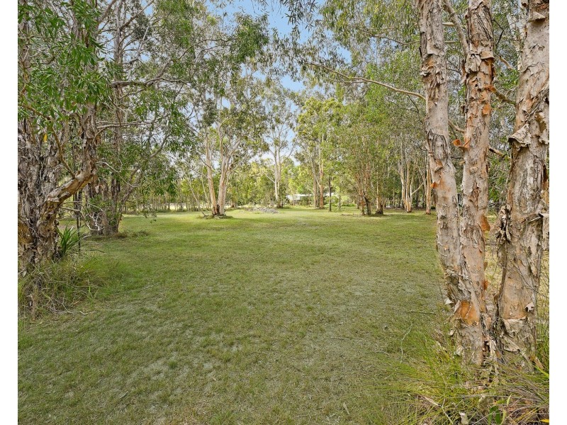14 Riverpark Drive, Ringtail Creek QLD 4565