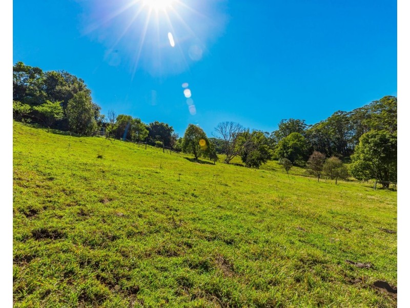 685 Cooloolabin Road, Cooloolabin QLD 4560