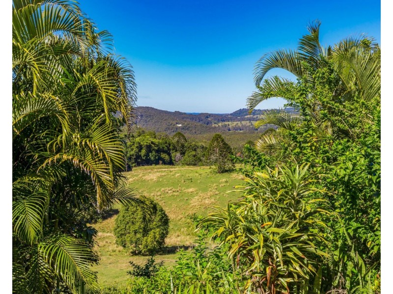 685 Cooloolabin Road, Cooloolabin QLD 4560
