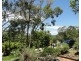 14 Carrock Court, Mount Coolum QLD 4573