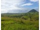 249 Upper Pinbarren Creek Road, Pinbarren QLD 4568