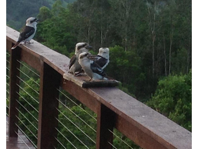 119 Bridge Creek Road, Maleny QLD 4552