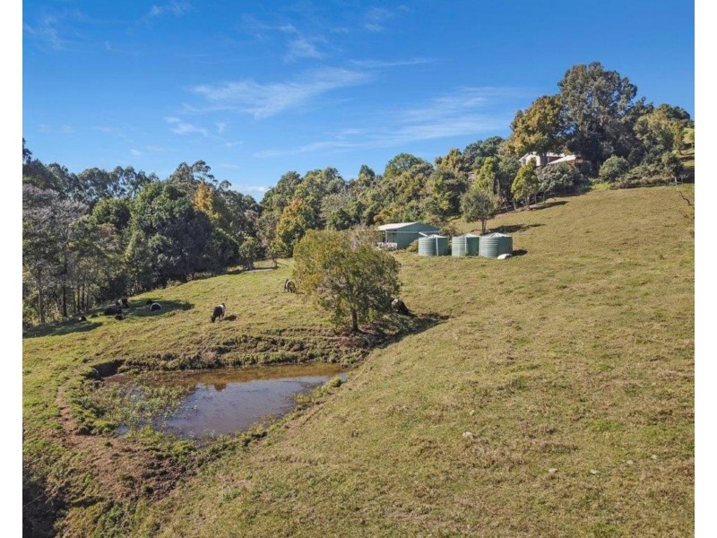 119 Bridge Creek Road, Maleny QLD 4552