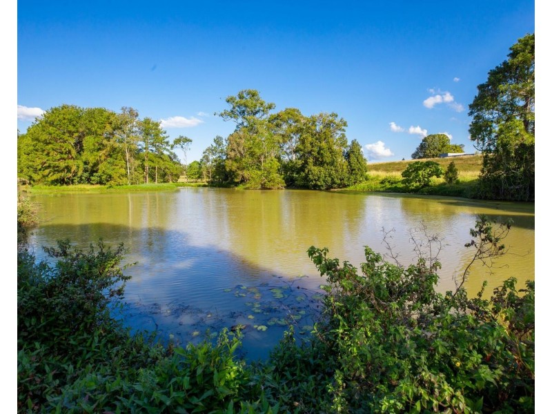 136 North Arm Yandina Creek Road, North Arm QLD 4561