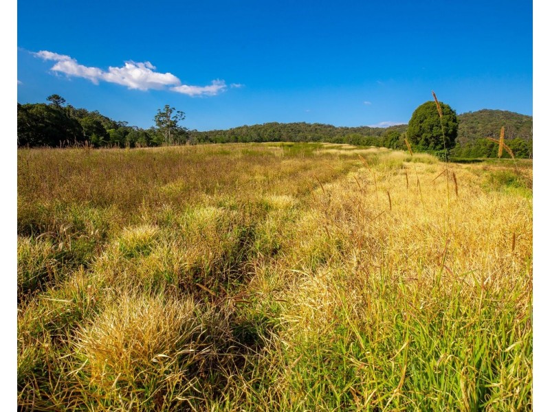 136 North Arm Yandina Creek Road, North Arm QLD 4561