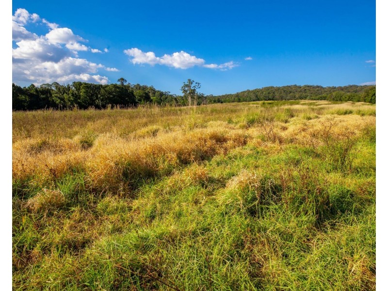 136 North Arm Yandina Creek Road, North Arm QLD 4561