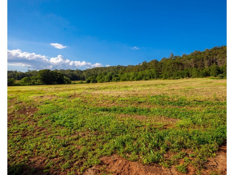 136 North Arm Yandina Creek Road, North Arm QLD 4561