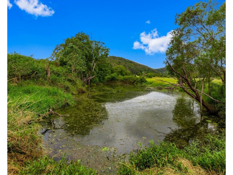 136 North Arm Yandina Creek Road, North Arm QLD 4561