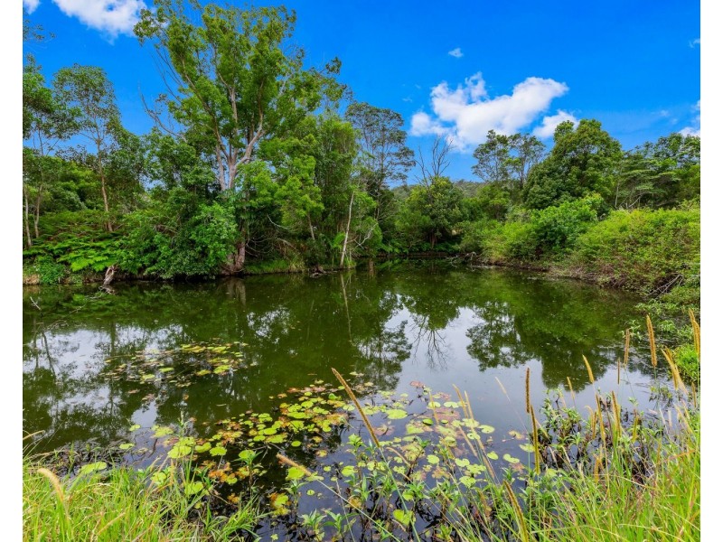 136 North Arm Yandina Creek Road, North Arm QLD 4561