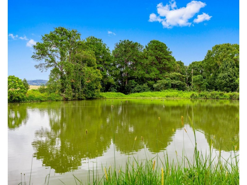 136 North Arm Yandina Creek Road, North Arm QLD 4561