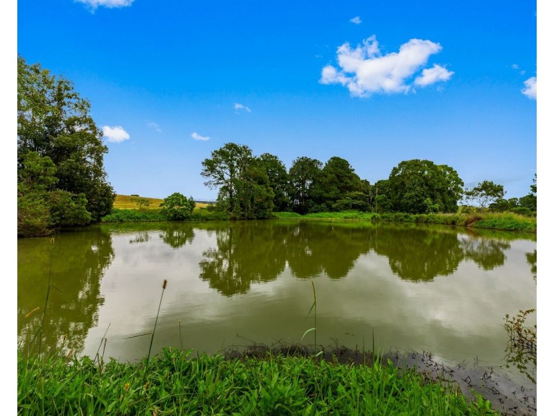 136 North Arm Yandina Creek Road, North Arm QLD 4561