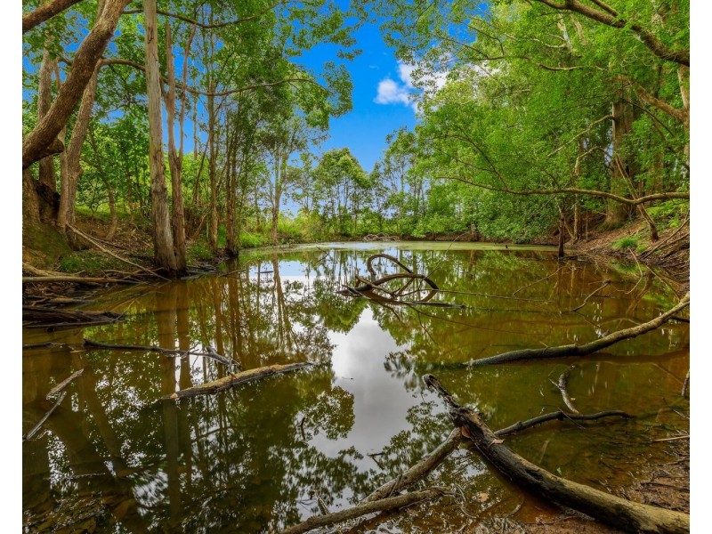 136 North Arm Yandina Creek Road, North Arm QLD 4561