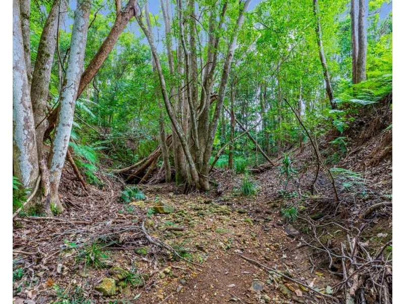 136 North Arm Yandina Creek Road, North Arm QLD 4561