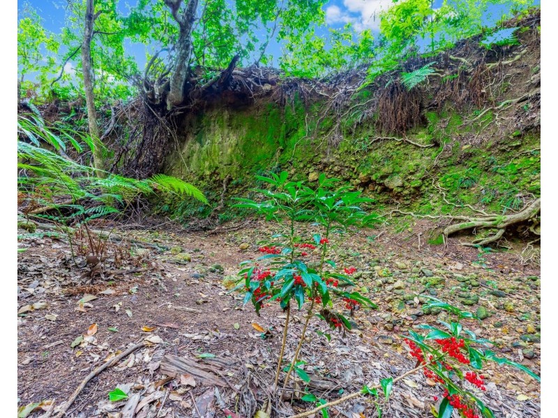 136 North Arm Yandina Creek Road, North Arm QLD 4561