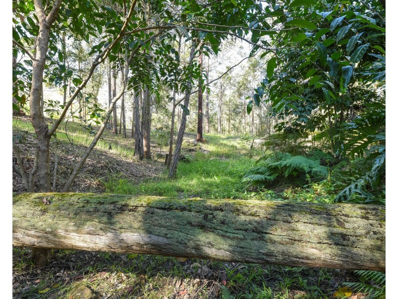 65 Calderwood Road, Landsborough QLD 4550