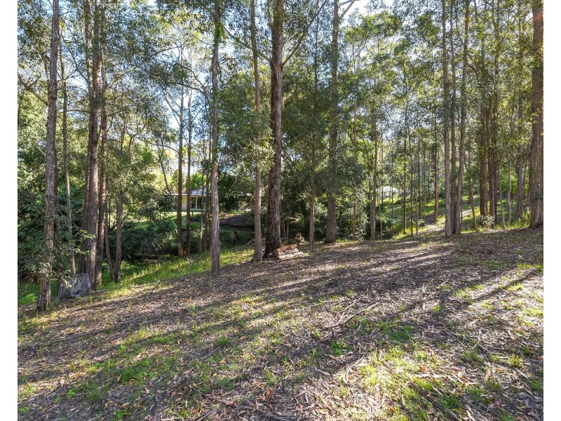 65 Calderwood Road, Landsborough QLD 4550