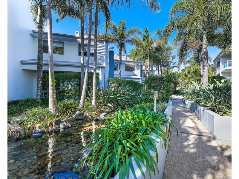 517/1838 David Low Way, Coolum Beach QLD 4573