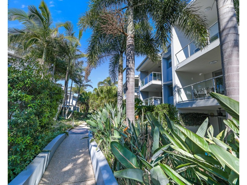 517/1838 David Low Way, Coolum Beach QLD 4573