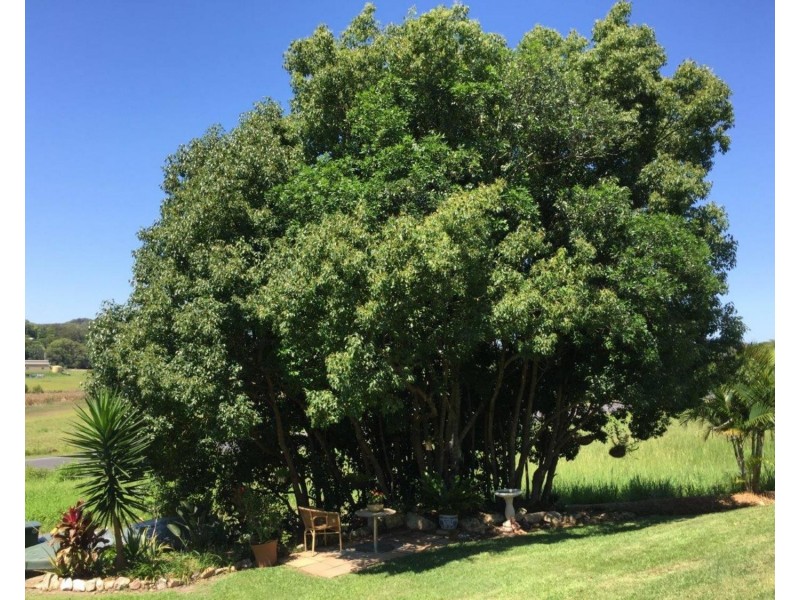 6 Valdora Road, Maroochy River QLD 4561