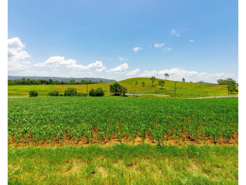 180 North Arm Yandina Creek Road, North Arm QLD 4561