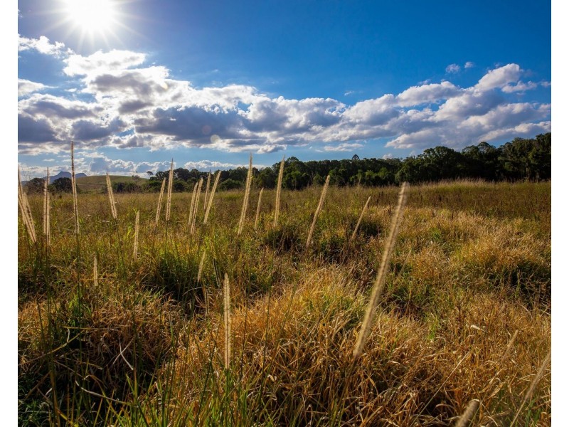 180 North Arm Yandina Creek Road, North Arm QLD 4561