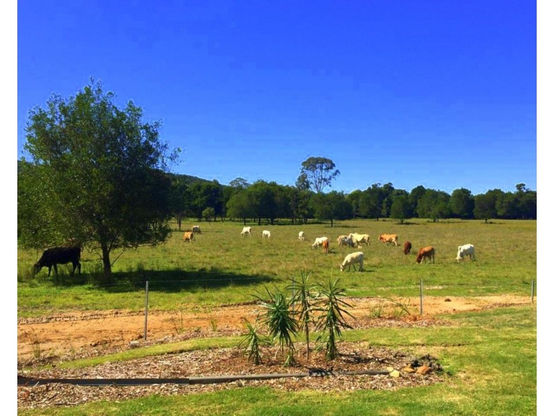 305A Toolborough Road, Yandina Creek QLD 4561