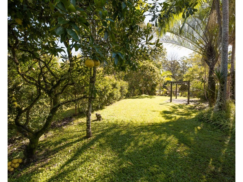 593. Macdonalds Road, Peachester QLD 4519