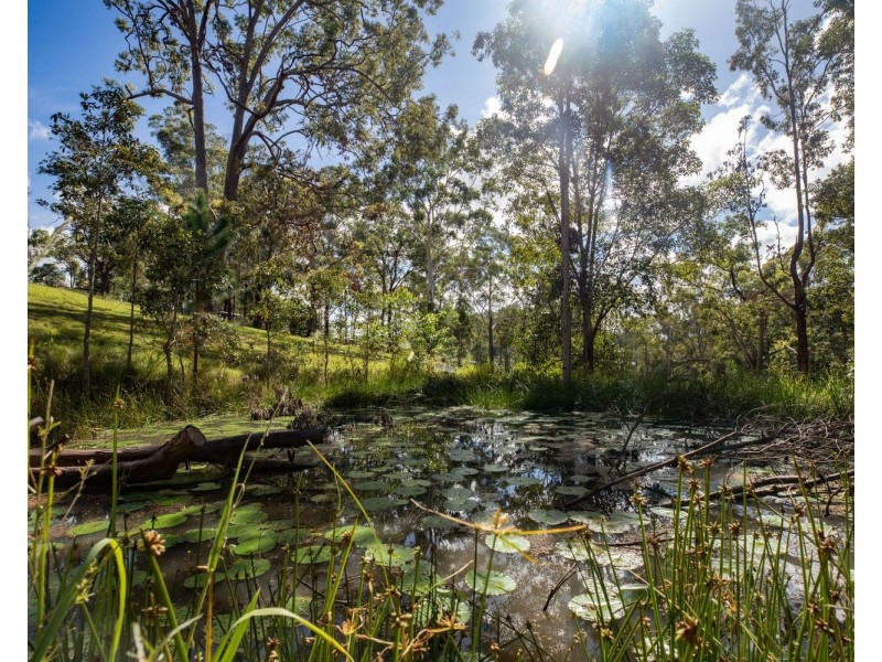 1389 Eumundi Noosa Road, Eumundi QLD 4562