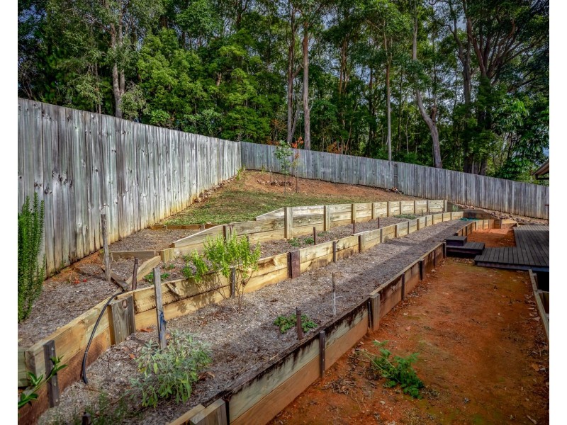 6 Haven Place, Yandina QLD 4561