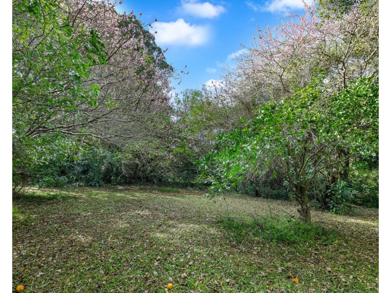 15 Vista Drive, Balmoral Ridge QLD 4552