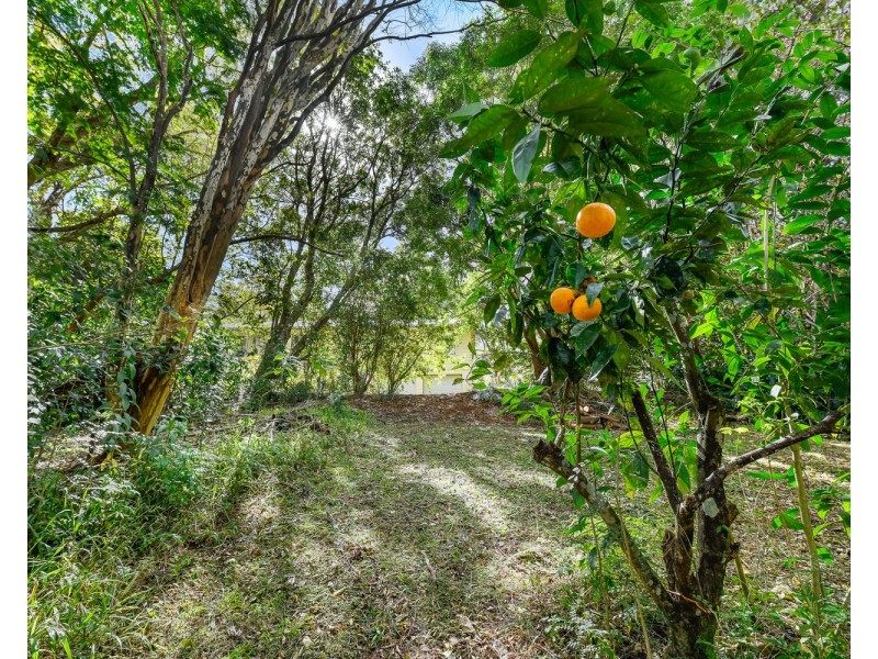 15 Vista Drive, Balmoral Ridge QLD 4552