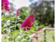 23 Rutherford Road, Kulangoor QLD 4560
