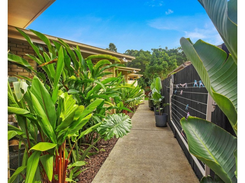 1/35 Maple Court, Yandina QLD 4561