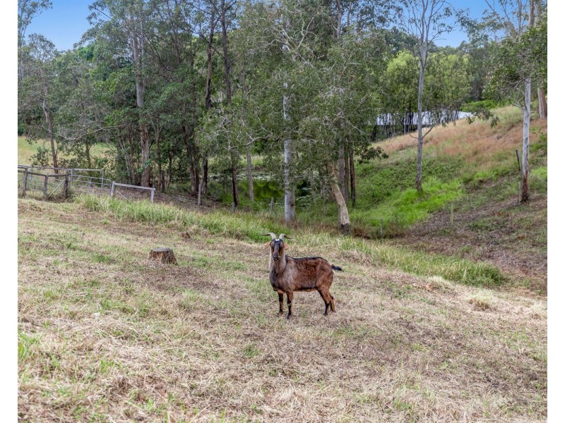 129 Creightons Road, Kulangoor QLD 4560