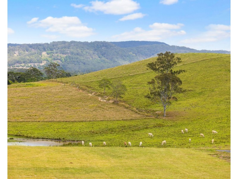 226 North Arm Yandina Creek Road, North Arm QLD 4561