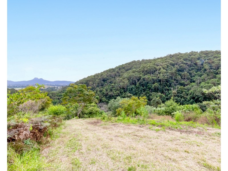 Lot/40 Davisons Road, Ninderry QLD 4561