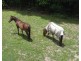 Lot Lot , 40 Davisons Road, Ninderry QLD 4561