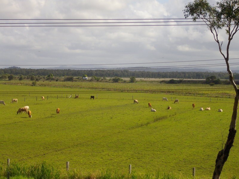 67 South Coolum Road, Coolum Beach QLD 4573