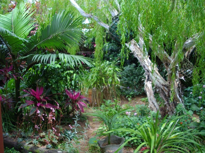 6 Belair Court, Coolum Beach QLD 4573