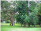 5 Jeenon Street, Mount Coolum QLD 4573