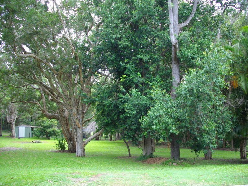 5 Jeenon Street, Mount Coolum QLD 4573