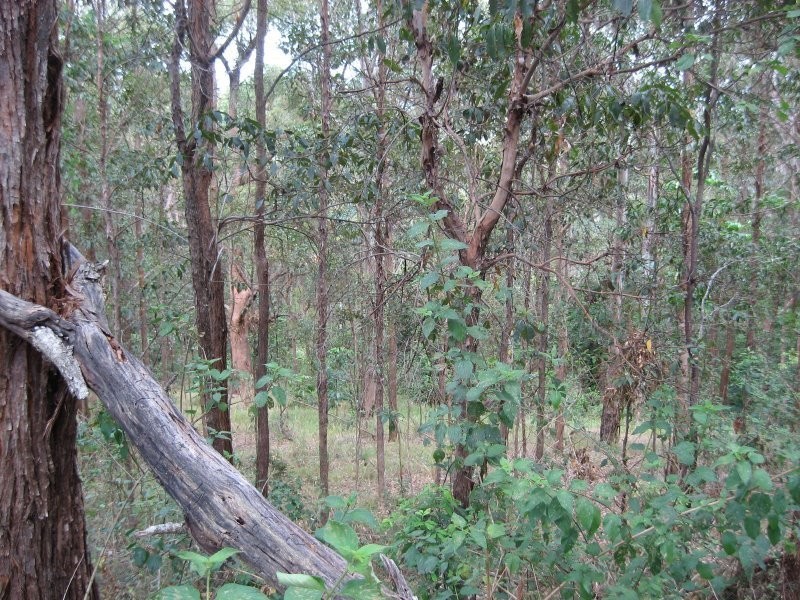 26 Elouera Drive, Ninderry QLD 4561
