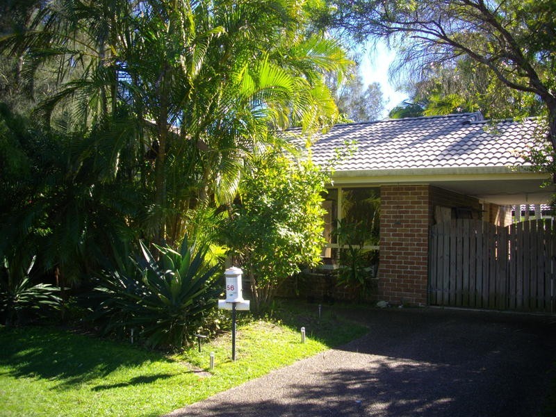 56 Greenoaks Drive, Coolum Beach QLD 4573