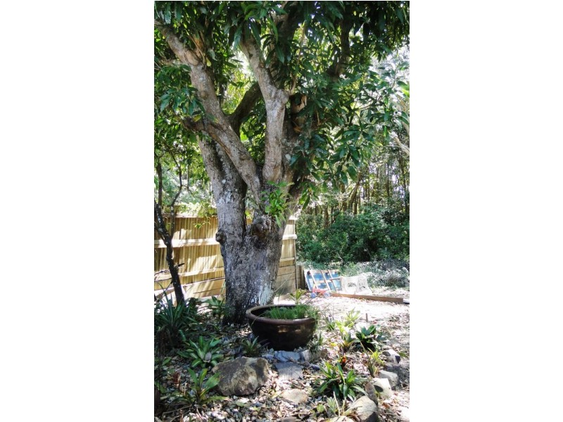 21 Cinnamon Avenue, Coolum Beach QLD 4573