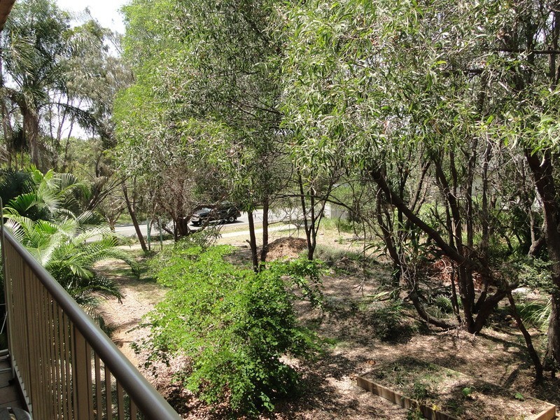 3/16 First Avenue, Coolum Beach QLD 4573