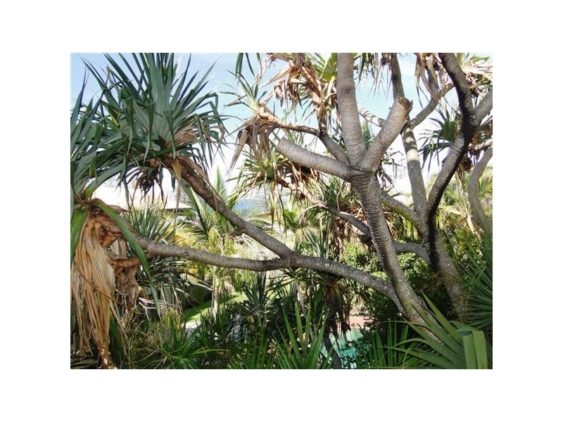 29 Coolum Terrace, Coolum Beach QLD 4573