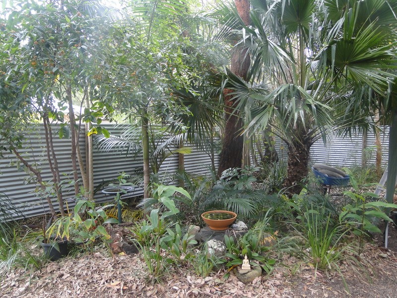 60 Cassia Avenue, Coolum Beach QLD 4573