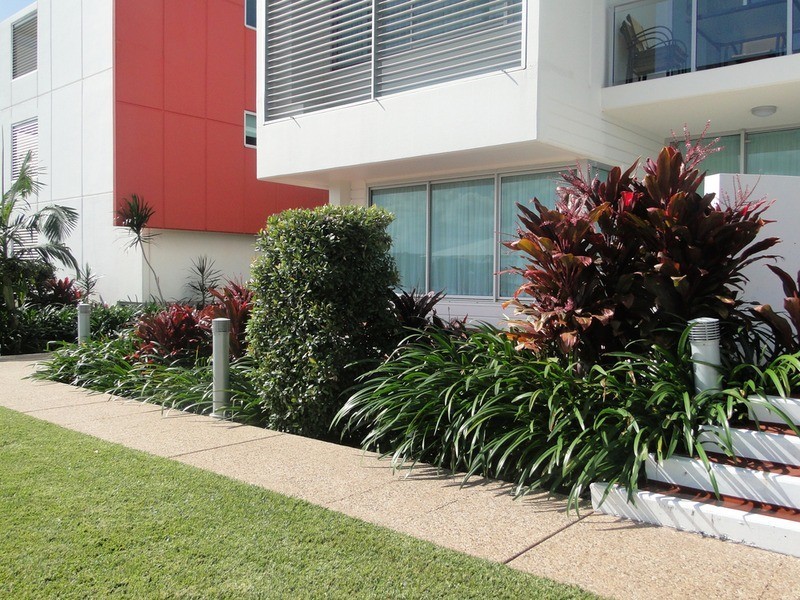 3101/1808 David Low Way, Coolum Beach QLD 4573